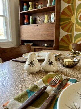 1960's Vintage Mid-Century Speckled Starburst Salt & Pepper Shakers